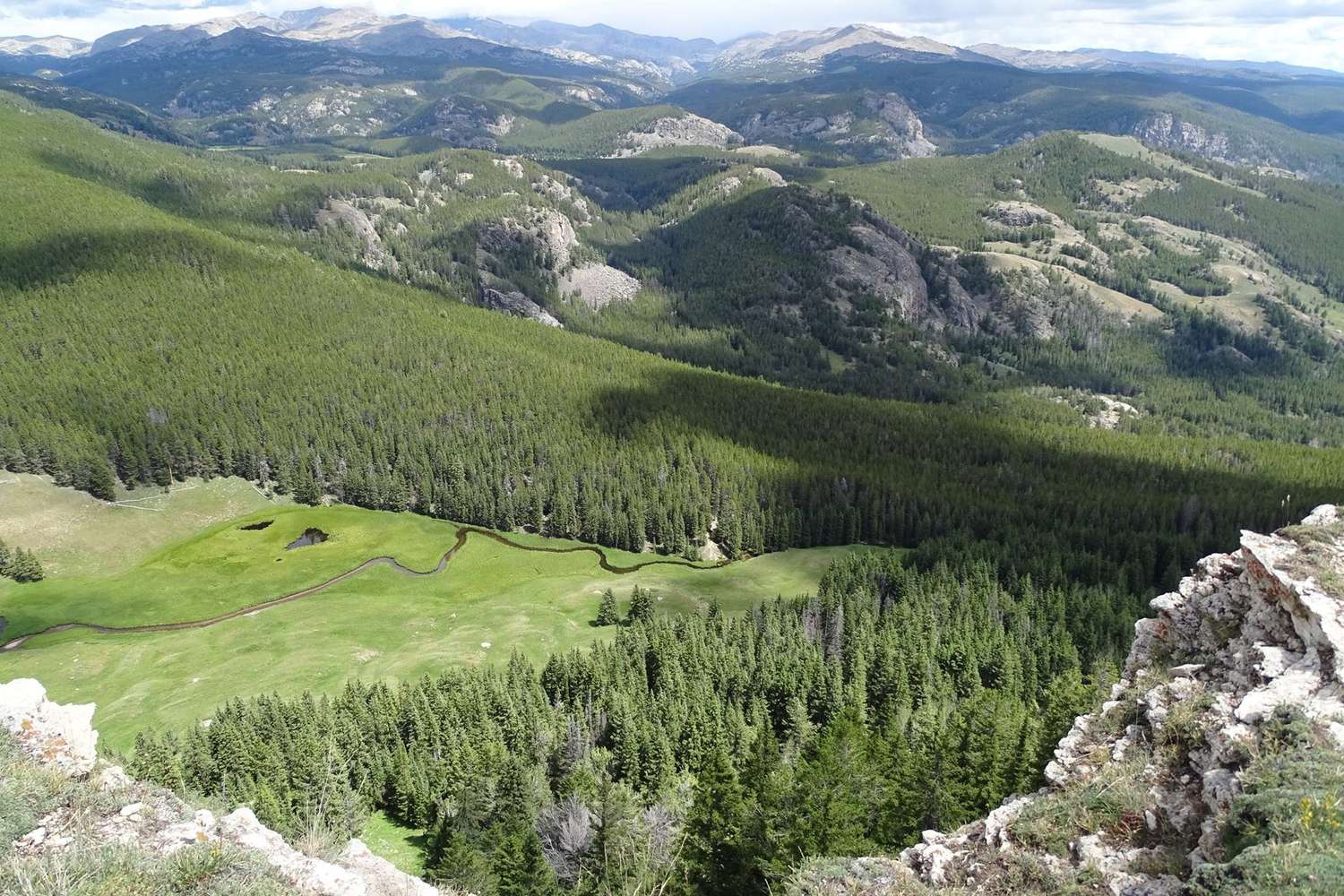 Forested ridges and a green meadow rising toward the crest of the Bighorn Mountains.