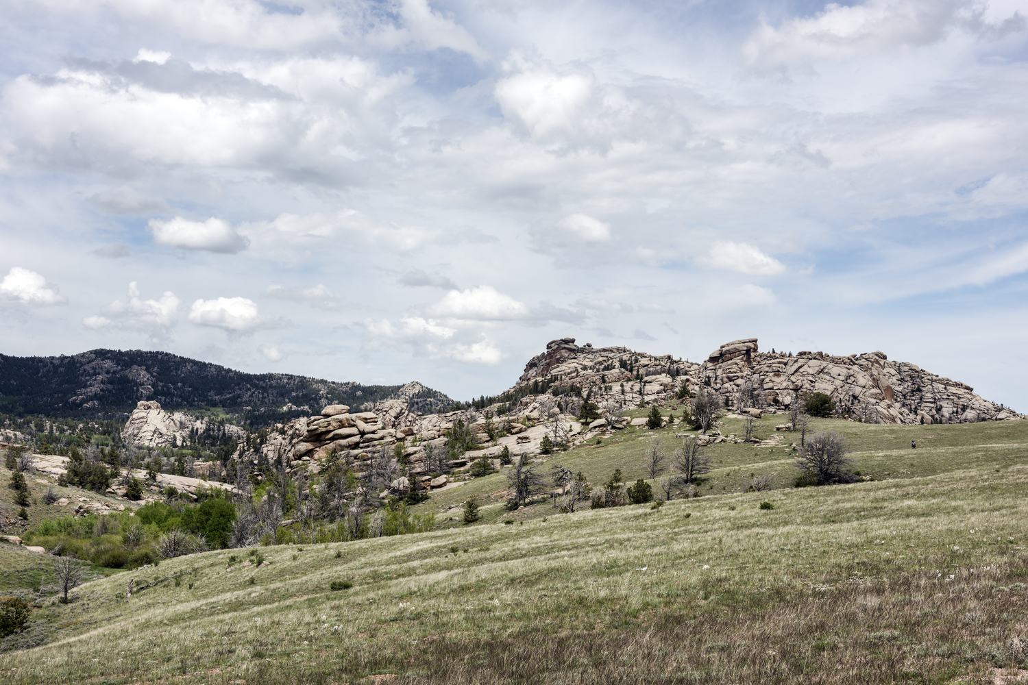 Piles of weathered granite at Vedauwoo rising from a green meadow under scattered cloud.